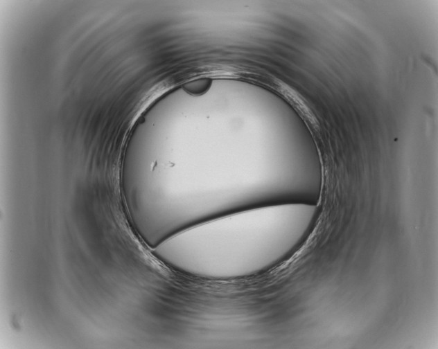 X0000096971194200802080916