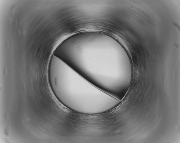 X0000096971195200802080916