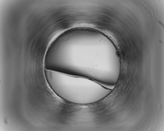 X0000096971199200802080916