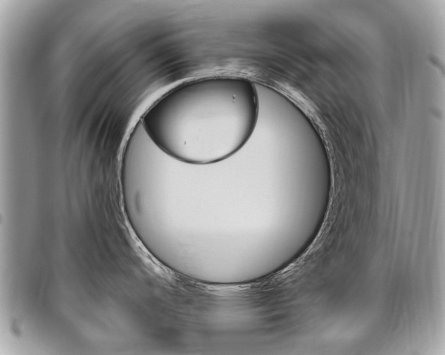 X0000096971200200802080916