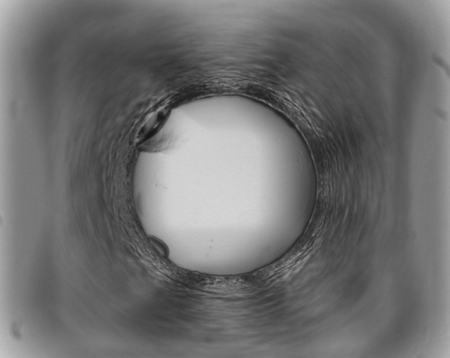 X0000096971201200802080915