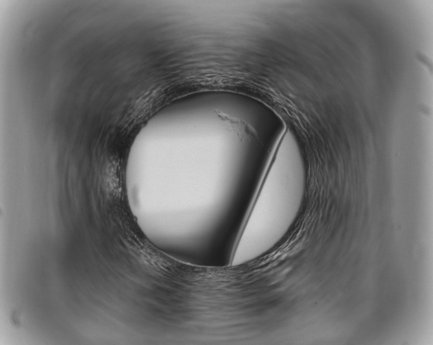 X0000096971202200802080915