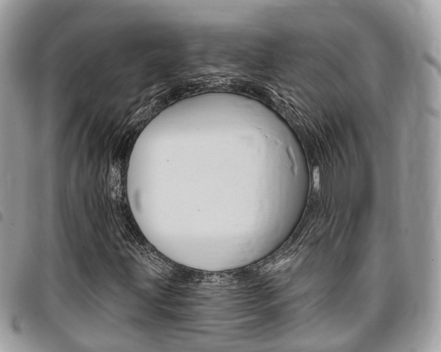 X0000096971203200802080915