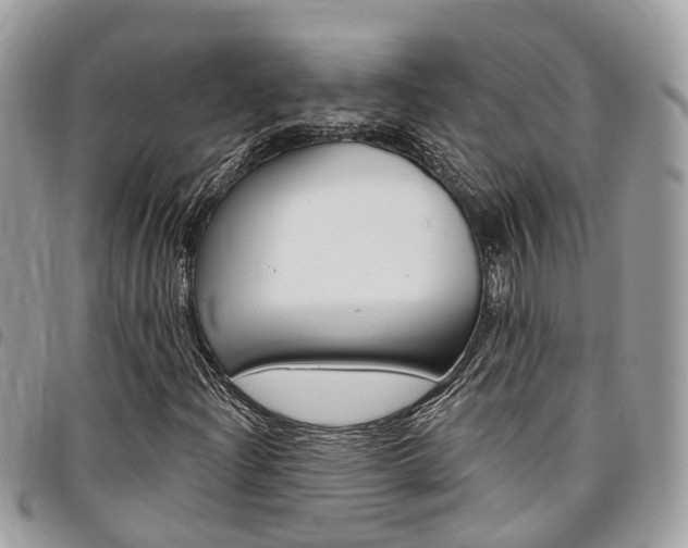 X0000096971204200802080915