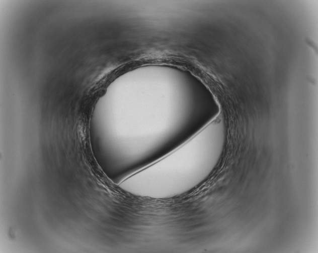 X0000096971206200802080915