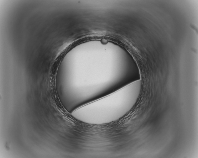 X0000096971208200802080915