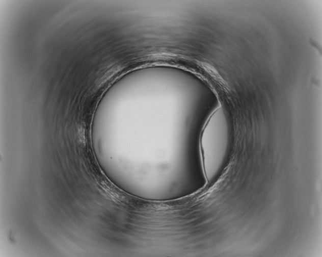 X0000096971209200802080915
