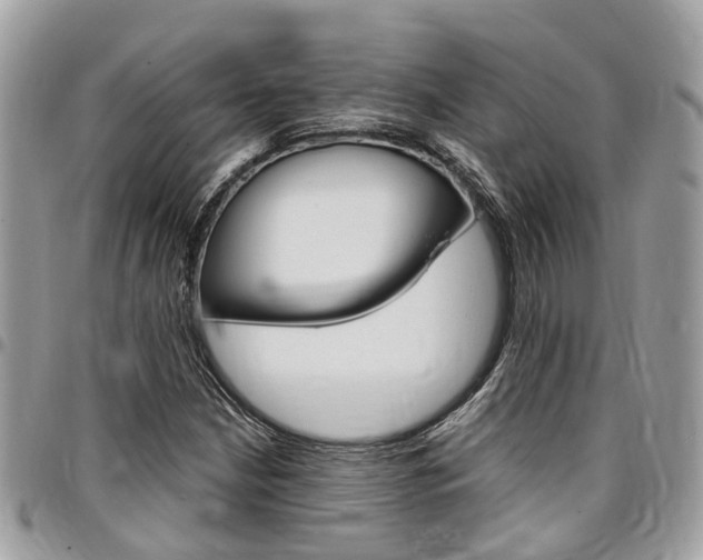 X0000096971210200802080915