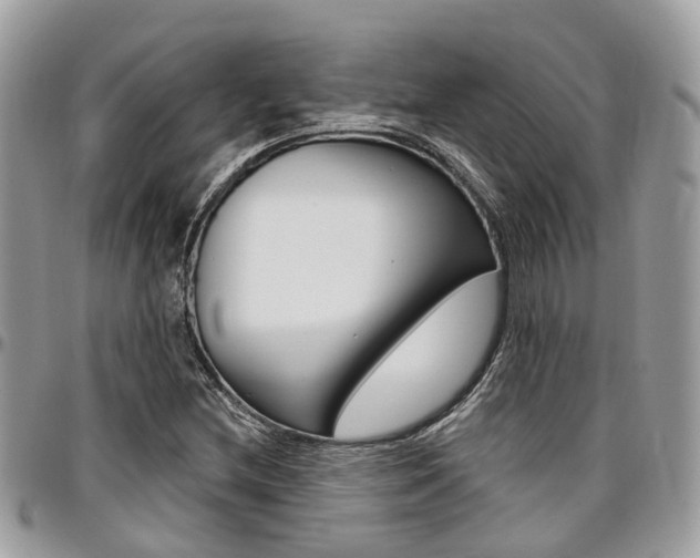 X0000096971212200802080915