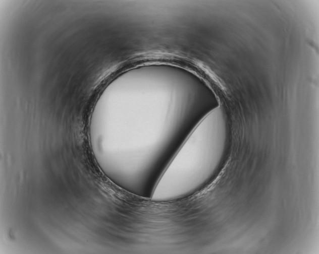 X0000096971213200802080915