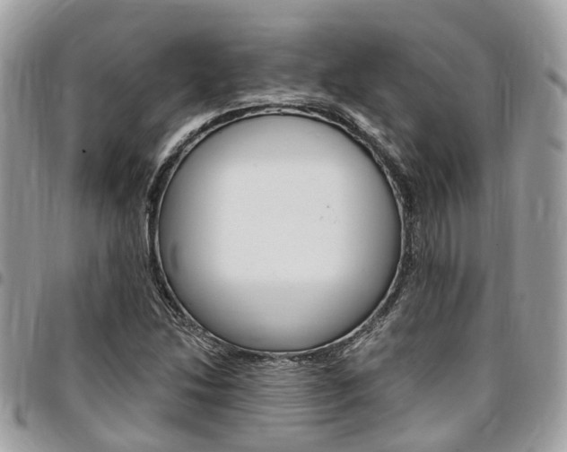 X0000096971214200802080915