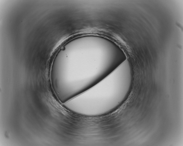 X0000096971216200802080915