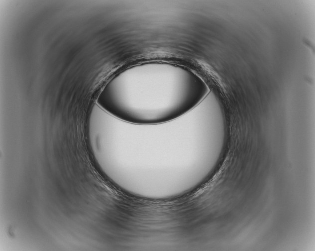 X0000096971217200802080915