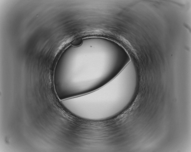 X0000096971218200802080915