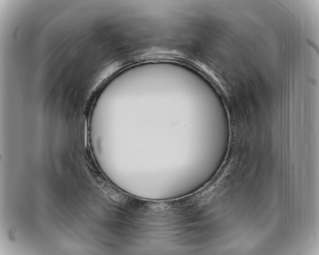 X0000096971219200802080915