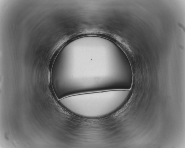 X0000096971221200802080915