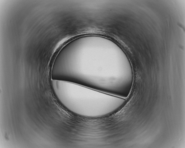 X0000096971222200802080915