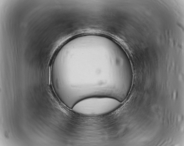 X0000096971223200802080915