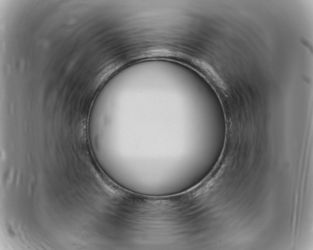 X0000096971225200802080915
