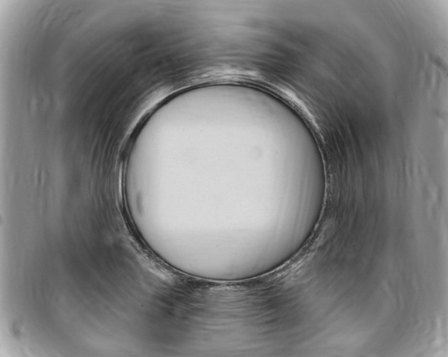 X0000096971227200802080915