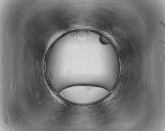 X0000096971231200802080916