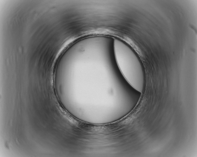 X0000096971232200802080916
