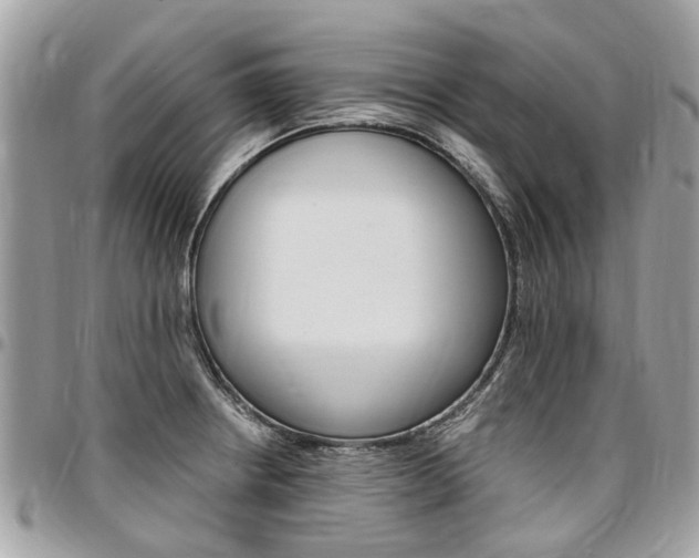 X0000096971234200802080916