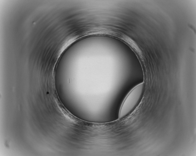 X0000096971242200802080916