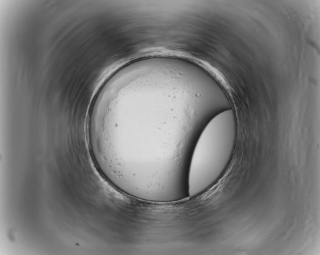 X0000096971247200802080916
