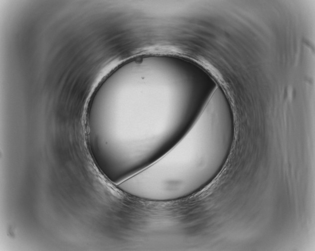 X0000096971248200802080916