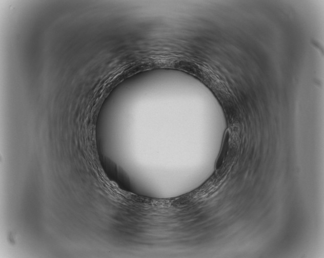 X0000096971249200802080915