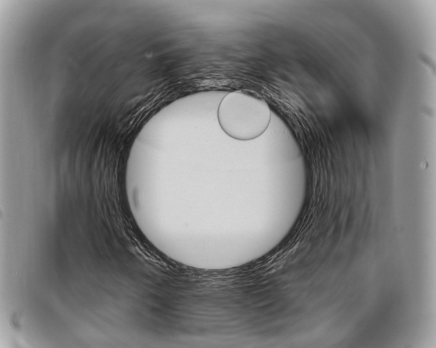 X0000096971250200802080915