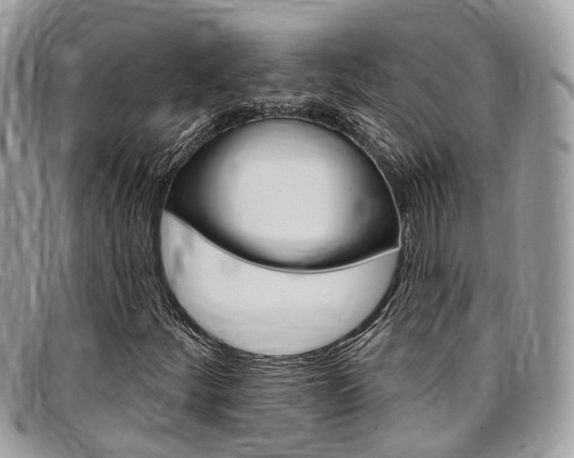 X0000096971252200802080915