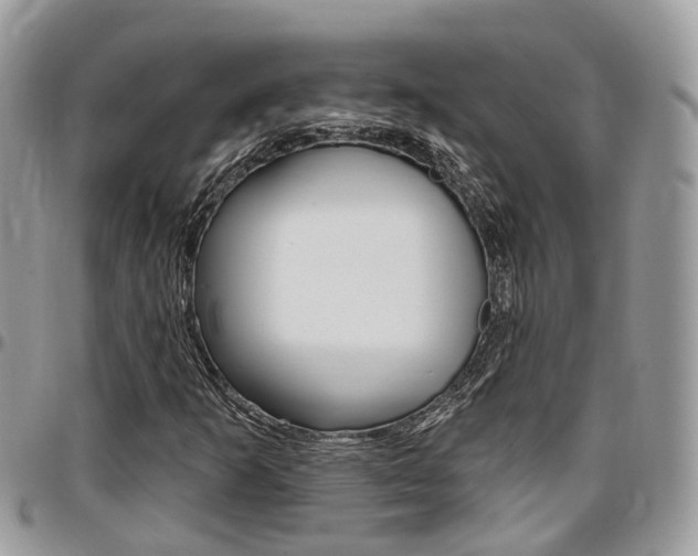 X0000096971253200802080915