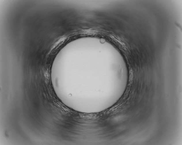 X0000096971254200802080915