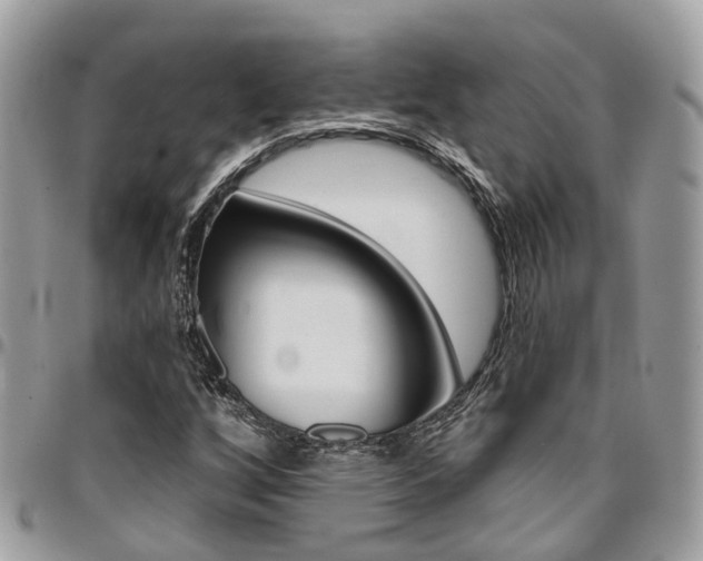 X0000096971256200802080915