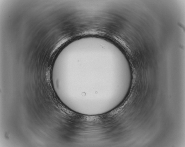 X0000096971258200802080915