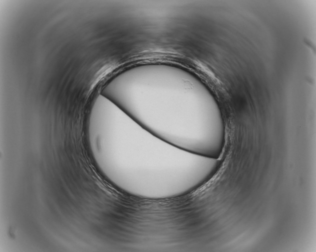 X0000096971259200802080915