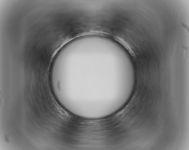 X0000096971260200802080915