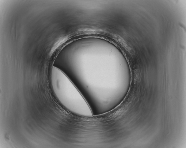 X0000096971261200802080915