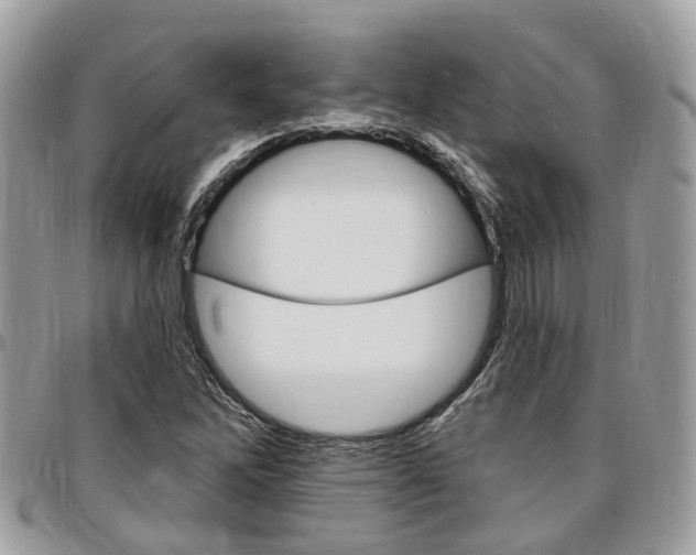 X0000096971262200802080915