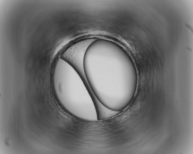 X0000096971263200802080915