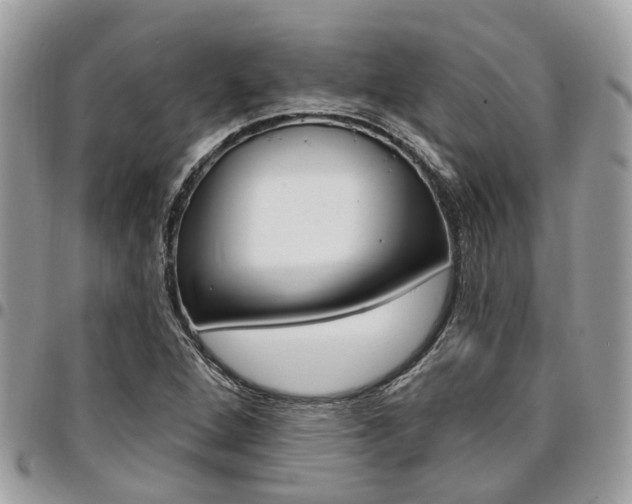 X0000096971264200802080915