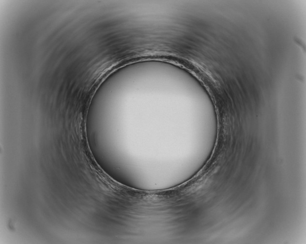 X0000096971265200802080915