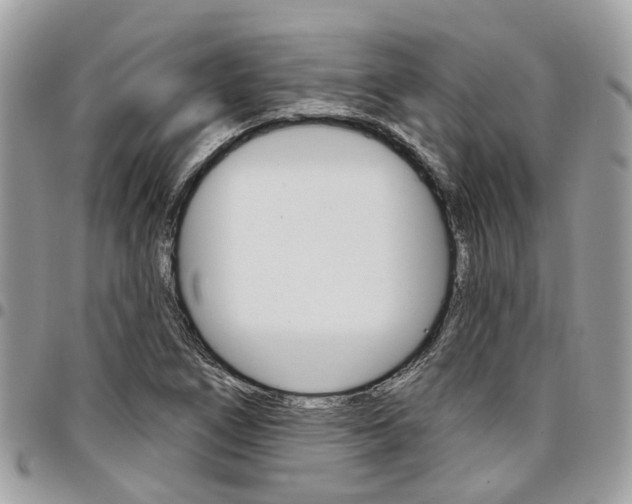 X0000096971266200802080915