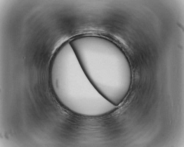X0000096971267200802080915