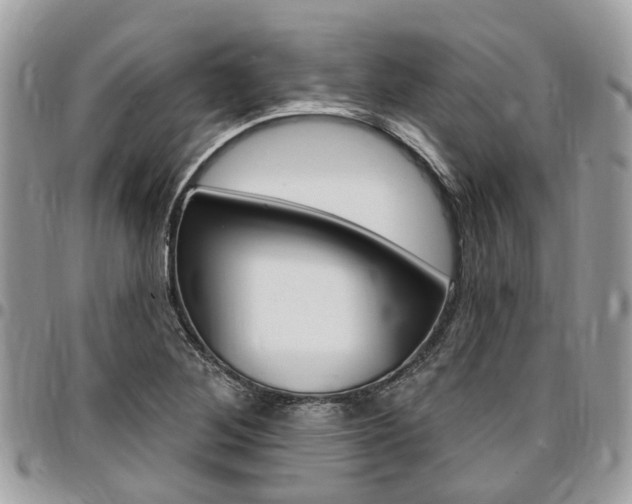 X0000096971268200802080915