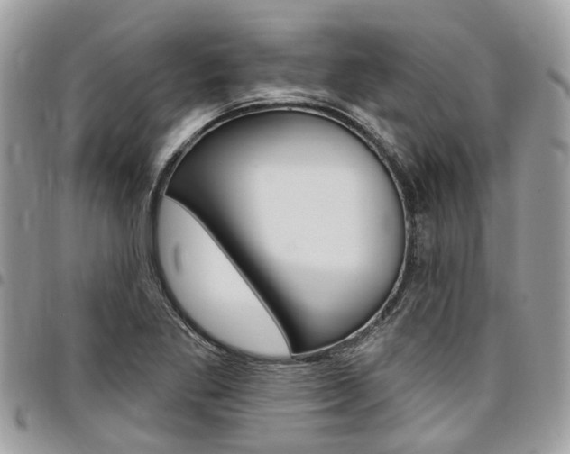 X0000096971269200802080915