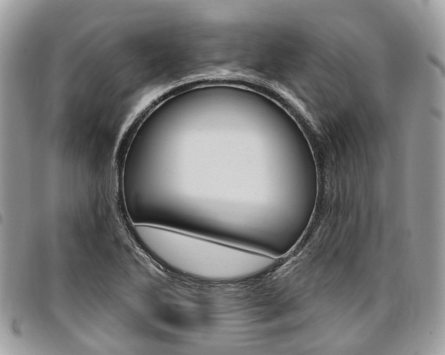 X0000096971270200802080915