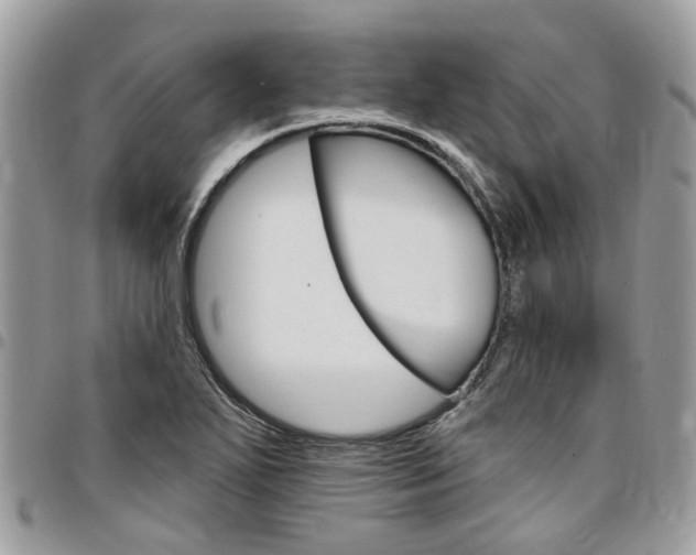 X0000096971271200802080915